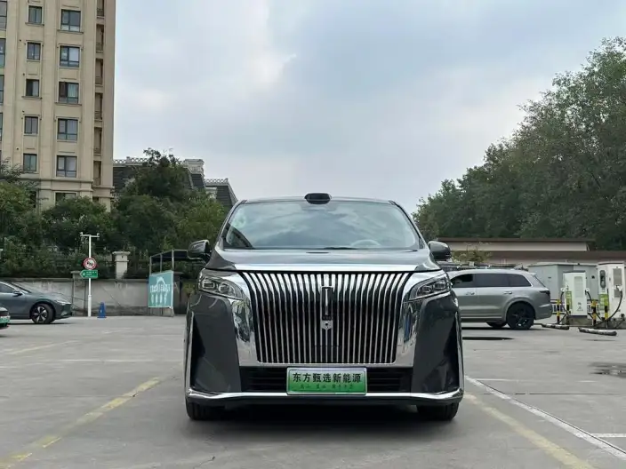 Wey Gaoshan P HEV 2025 Model 4WD Wey Gaoshan 8