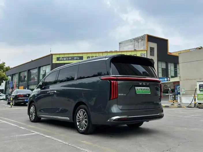 Wey Gaoshan P HEV 2025 Model 4WD Wey Gaoshan 8