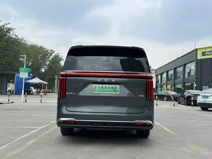 Wey Gaoshan P HEV 2025 Model 4WD Wey Gaoshan 8 – фото 5