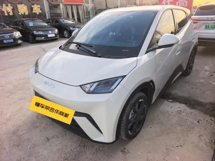 BYD Seagull 2024 Model Honor Edition 405KM Feixiang Edition