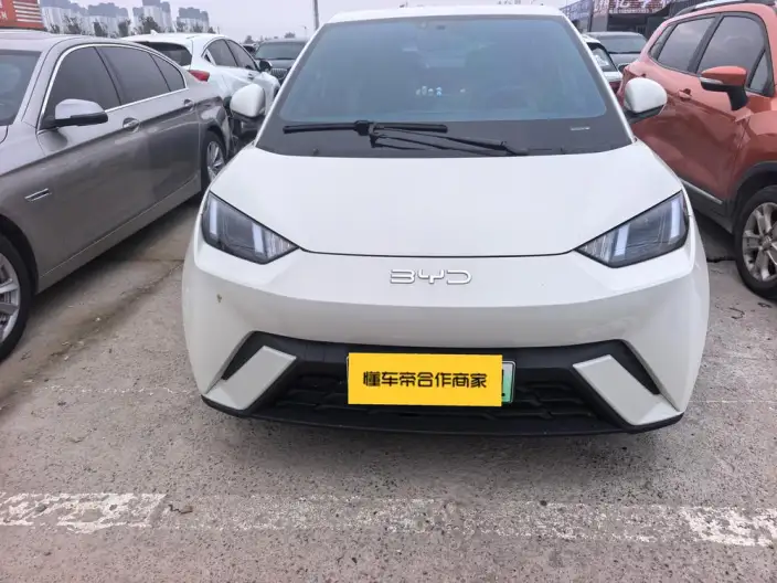 BYD Seagull 2024 Model Honor Edition 405KM Feixiang Edition