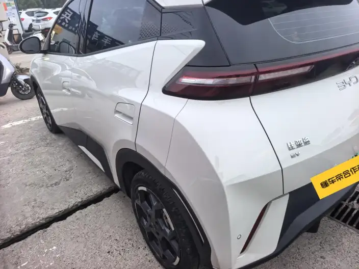 BYD Seagull 2024 Model Honor Edition 405KM Feixiang Edition – фото 6