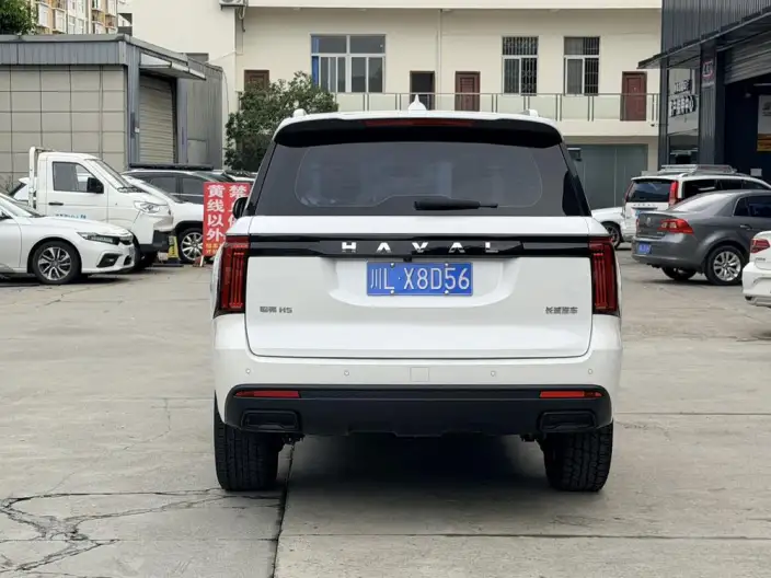 Haval H5 2023 Model 2.0T Diesel Ling Innovation Automatic 4WD – фото 5
