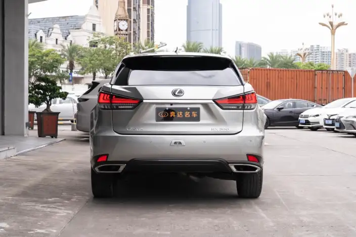 Lexus RX 2021 Model 300 4WD Special Edition – фото 4