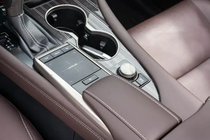 Lexus RX 2021 Model 300 4WD Special Edition – фото 8