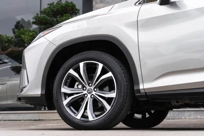 Lexus RX 2021 Model 300 4WD Special Edition – фото 10