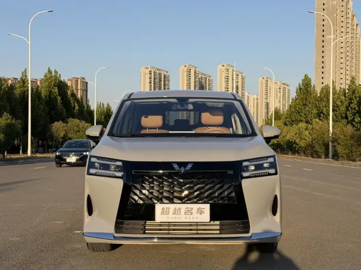Xingguang 730 2025 Model 1.5T CVT Elite Model