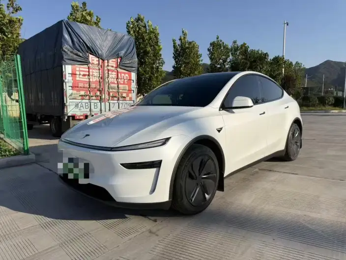 Model Y 2025 Model Long Battery Life Pro All-wheel drive version – фото 1