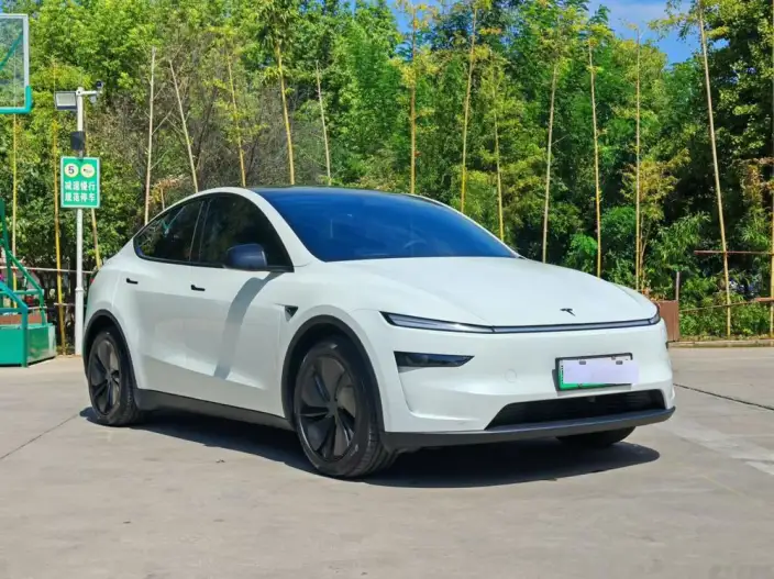 Model Y 2025 Model Long Battery Life Pro All-wheel drive version – фото 3