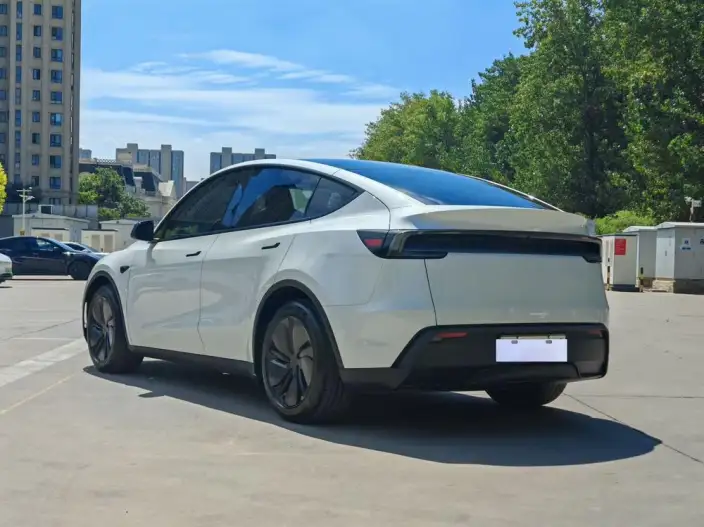 Model Y 2025 Model Long Battery Life Pro All-wheel drive version – фото 4