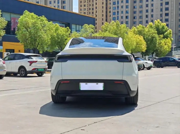 Model Y 2025 Model Long Battery Life Pro All-wheel drive version – фото 5