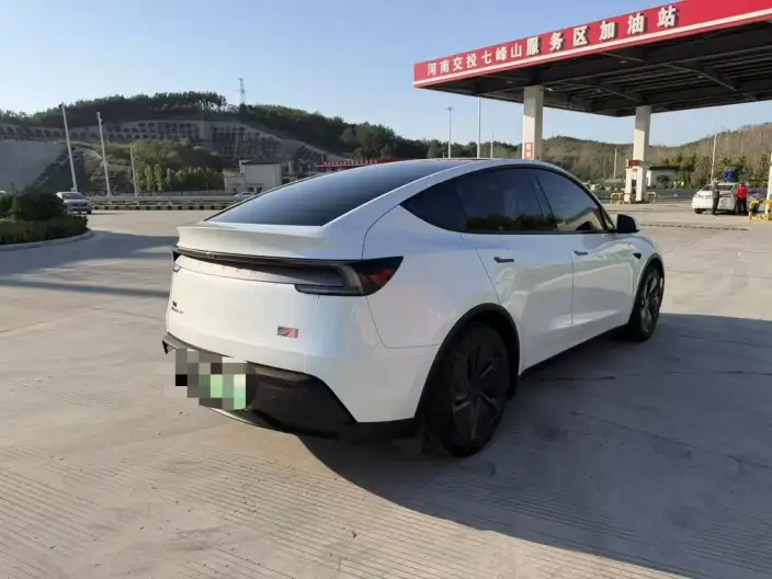 Model Y 2025 Model Long Battery Life Pro All-wheel drive version – фото 6