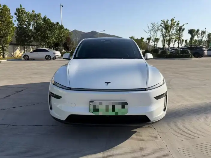 Model Y 2025 Model Long Battery Life Pro All-wheel drive version – фото 7