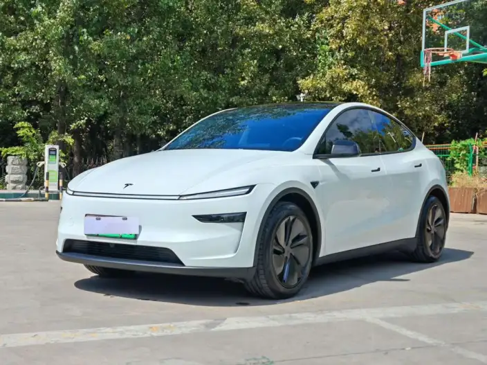 Model Y 2025 Model Long Battery Life Pro All-wheel drive version – фото 10