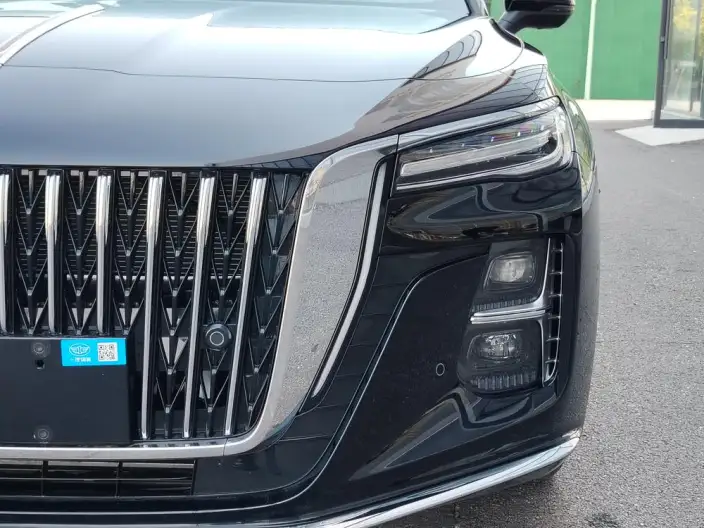 Hongqi H5 2025 Model 2.0T Automatic Flag Enjoy Edition – фото 8