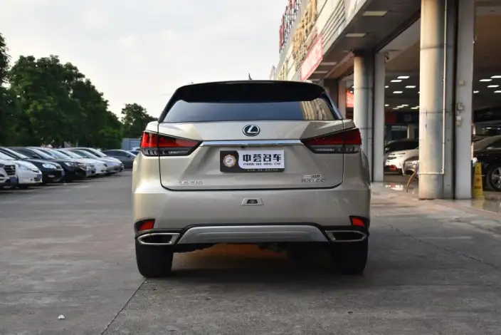 Lexus RX 2020 Model 300 4WD Elegant Edition China VI – фото 5