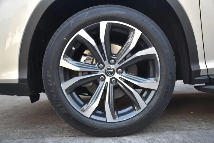 Lexus RX 2020 Model 300 4WD Elegant Edition China VI – фото 10