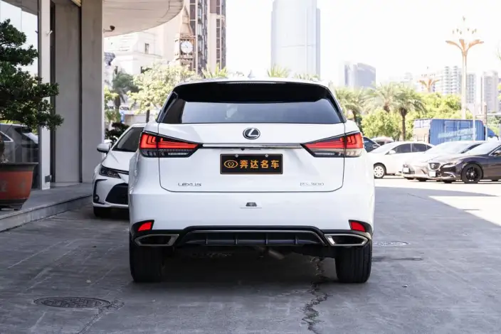 Lexus RX 2020 Model Facelift 300 4WD F SPORT – фото 4