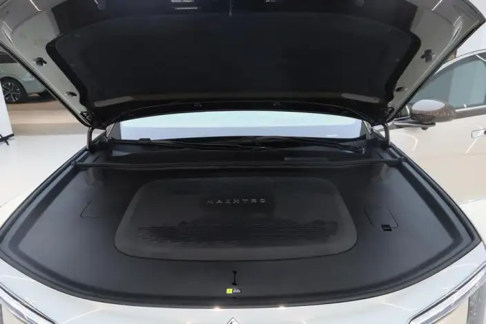 Zunjie S800 2025 Model Extended Range Starlight Executive Edition 4 seat – фото 8