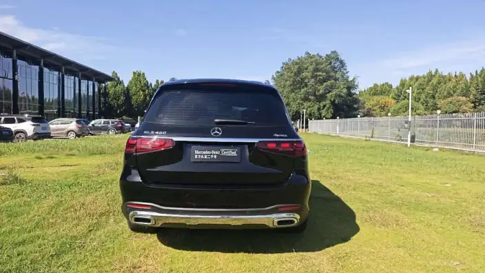 Mercedes-Benz GLS 2024 Model GLS 450 4MATIC Luxury Model – фото 5