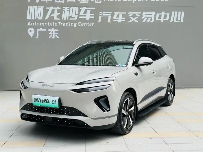 Sea Lion 06DM 2025 Model DM-i 205KM Pilot Plus Edition – фото 10