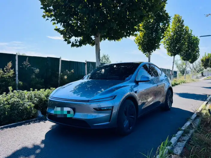 Model Y 2025 Model Rear-wheel drive version