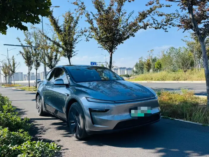 Model Y 2025 Model Rear-wheel drive version