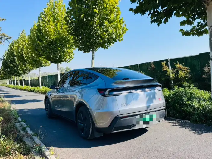 Model Y 2025 Model Rear-wheel drive version
