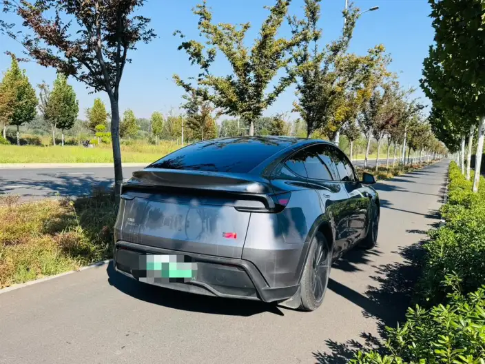 Model Y 2025 Model Rear-wheel drive version – фото 6