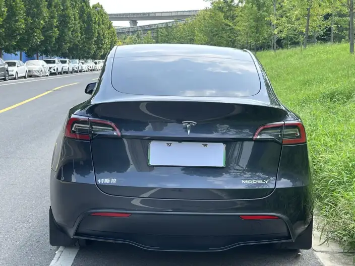 Model Y 2024 Model Rear-wheel drive version – фото 5