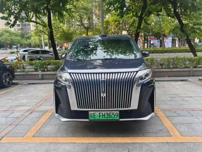 Wey Gaoshan P HEV 2025 Model 4WD Wey Gaoshan 8