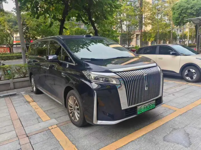 Wey Gaoshan P HEV 2025 Model 4WD Wey Gaoshan 8