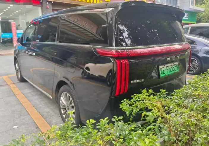 Wey Gaoshan P HEV 2025 Model 4WD Wey Gaoshan 8