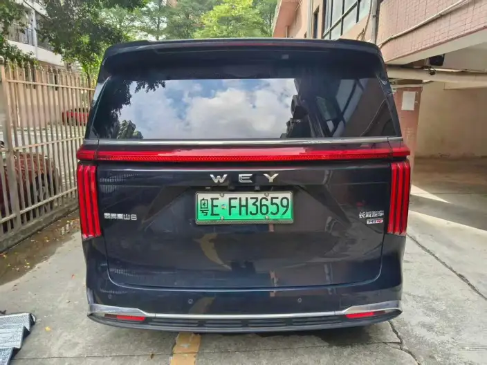 Wey Gaoshan P HEV 2025 Model 4WD Wey Gaoshan 8 – фото 5