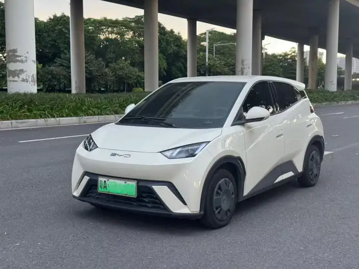 BYD Seagull 2024 Model Honor Edition 305KM Vitality Edition