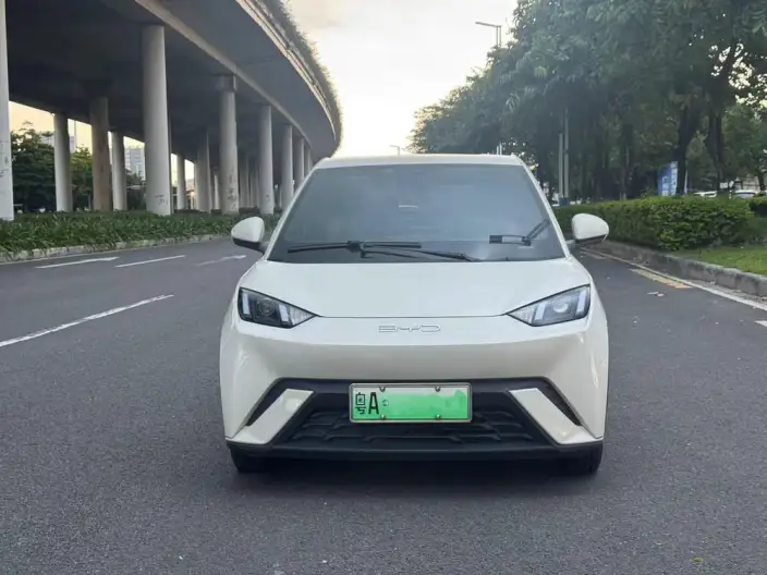 BYD Seagull 2024 Model Honor Edition 305KM Vitality Edition
