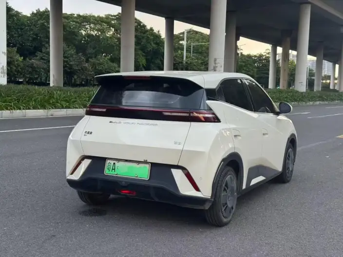 BYD Seagull 2024 Model Honor Edition 305KM Vitality Edition
