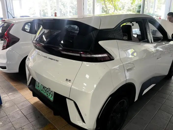 BYD Seagull 2024 Model Honor Edition 305KM Vitality Edition