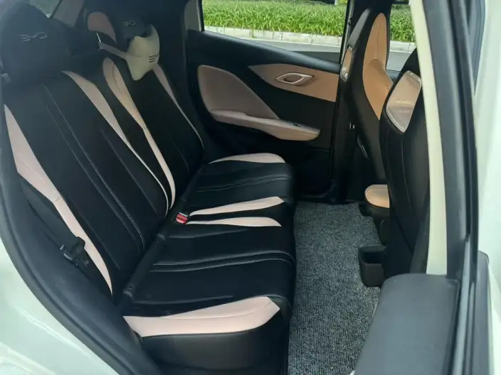 BYD Seagull 2024 Model Honor Edition 305KM Vitality Edition – фото 10