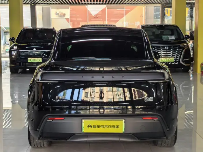 Model Y 2025 Model Facelift Long Battery Life Pro All-wheel drive version – фото 5