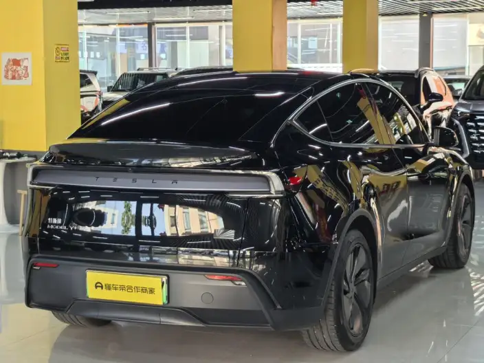 Model Y 2025 Model Facelift Long Battery Life Pro All-wheel drive version – фото 6