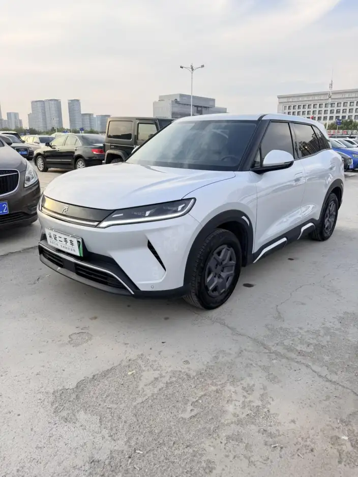 Yuan UP 2025 Model 301KM Pilot Model