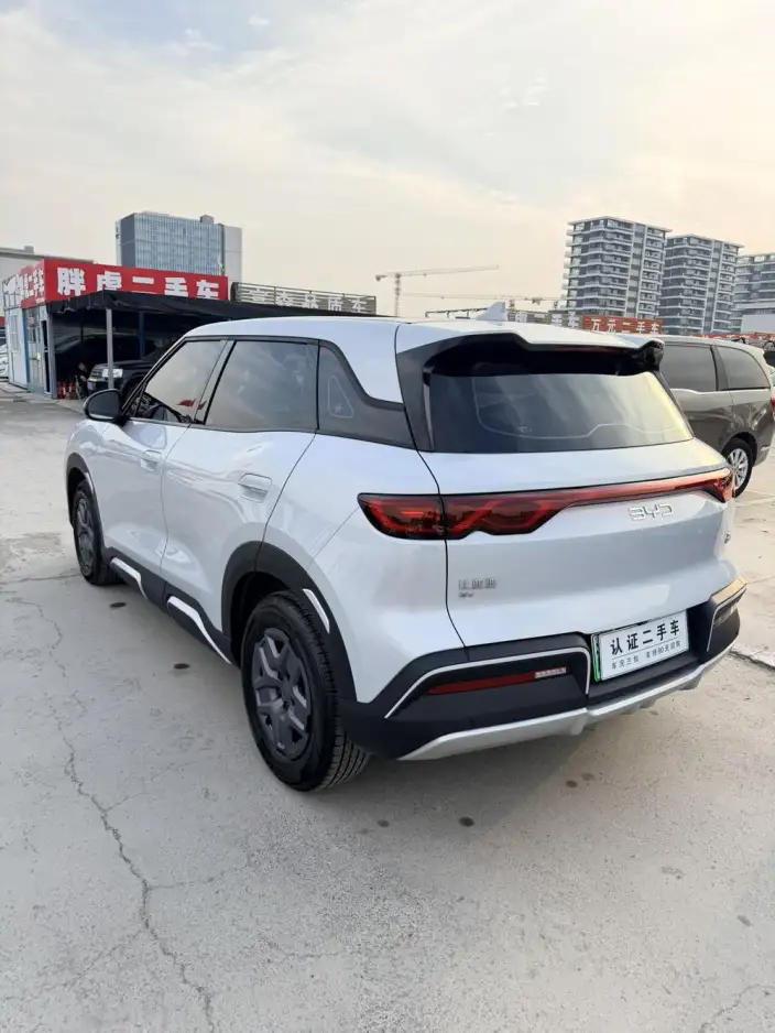 Yuan UP 2025 Model 301KM Pilot Model