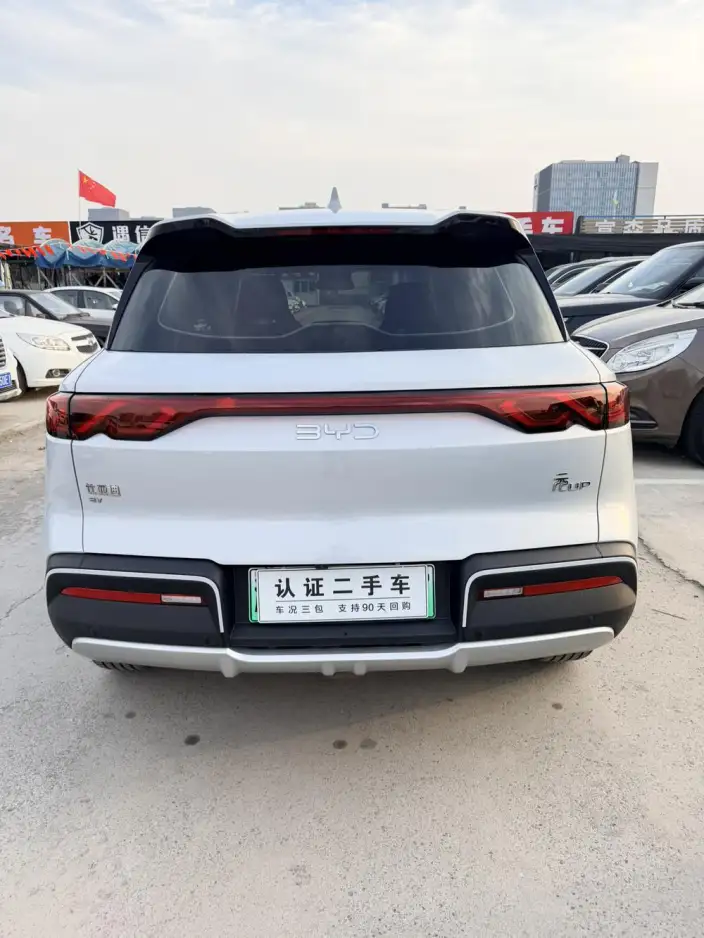 Yuan UP 2025 Model 301KM Pilot Model – фото 5