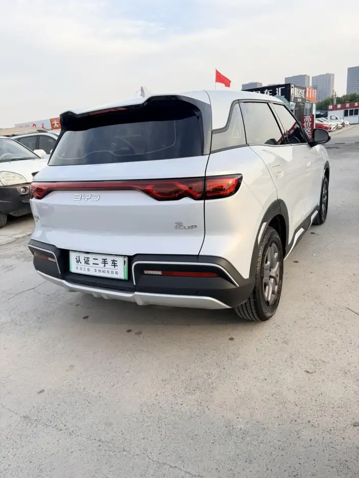 Yuan UP 2025 Model 301KM Pilot Model – фото 6