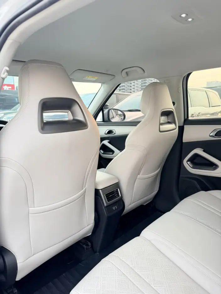 Yuan UP 2025 Model 301KM Pilot Model – фото 9