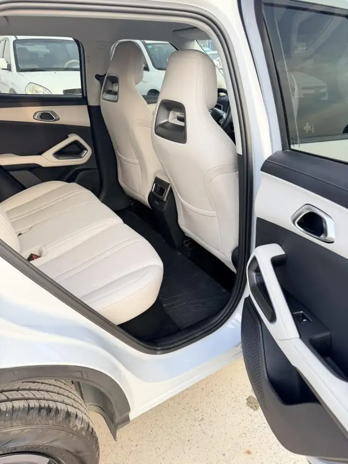Yuan UP 2025 Model 301KM Pilot Model – фото 10