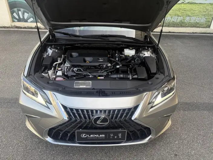 Lexus ES 2022 Model 300h Superior Edition – фото 7
