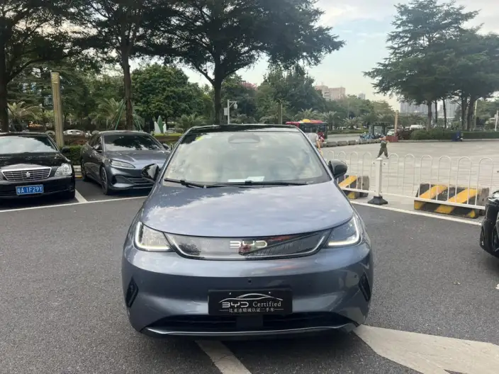BYD Dolphin 2025 Model Smart Driving Edition 520KM Knight Edition