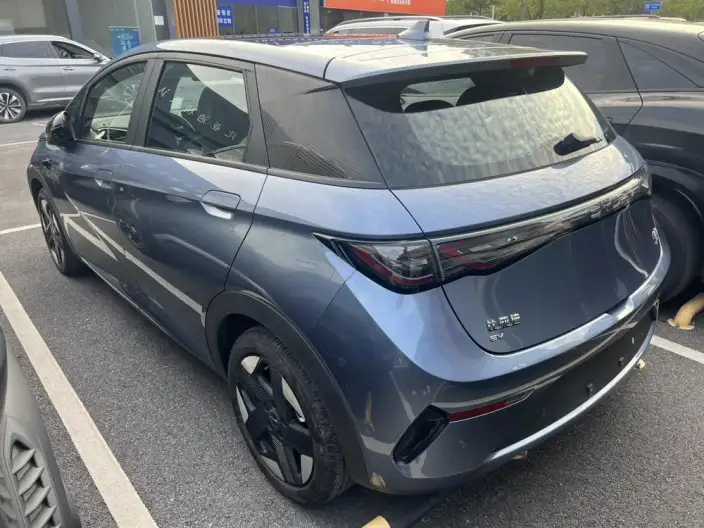 BYD Dolphin 2025 Model Smart Driving Edition 520KM Knight Edition – фото 5